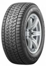 Bridgestone Blizzak DM-V2 225/55 R20 110T