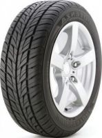 Bridgestone Potenza G019 Grid 205/60 R16 91H