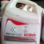 Антифриз MOTOR LUX -40 G12 10л (красный)