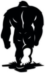 Autocolante pentru auto "Snowman"