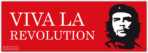 Стикеры на авто "Viva La Revolution"