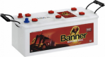 Banner Buffalo Bull 725 11