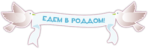 Стикеры на авто "Едем в роддом"