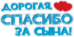 Стикеры на автомобиль "Спасибо за сына"