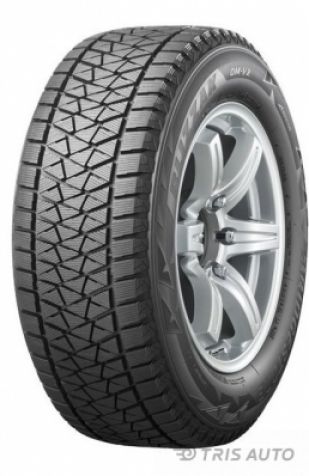 Bridgestone DM-V2 235/55/R19