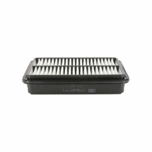 FILTRU AER CHAMPION CAF 100825P (AP 177/3)-(SB 2198)
