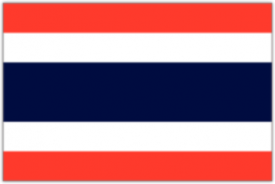 Autocolante pentru automobil 