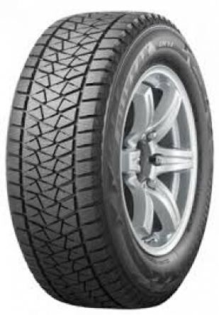Bridgestone Blizzak DM-V2 225/55 R20 110T