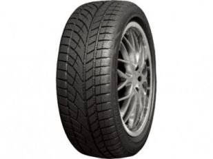 RoadX 255/50 R19 RXEROST WU01 107H