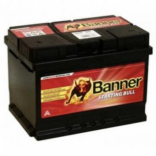 Banner Starting Bull 562 05