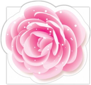 Автонаклейки "Роза цветная"