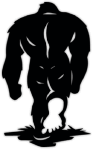 Autocolante pentru auto "Snowman"