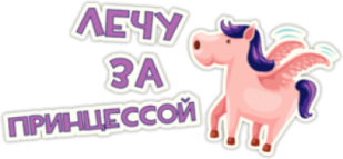 Стикеры на авто "Лечу за принцессой"
