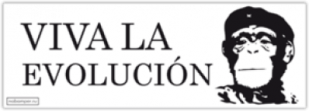 Наклейки на авто "Viva La Evolucion"