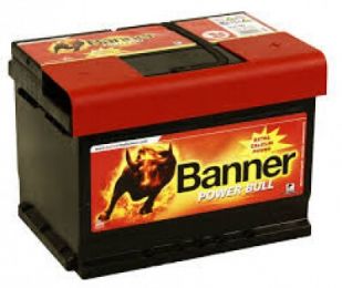 Banner Power Bull P60 09