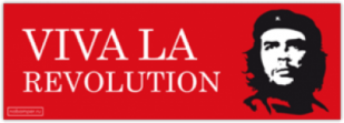 Стикеры на авто "Viva La Revolution"