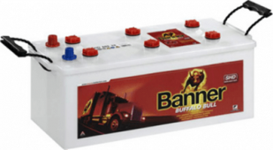 Banner Buffalo Bull 725 11