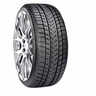 GRIPMAX STATUS PRO WINTER 255/35 R20 97V XL