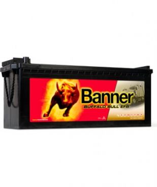 Banner BUFFALO BULL EFB 690 17