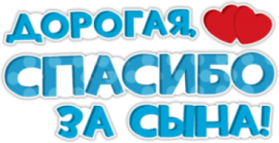 Стикеры на автомобиль "Спасибо за сына"