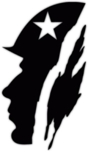 Autocolante pe masina 