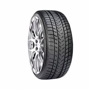 GRIPMAX 265/35 R20 STATUS PRO WINTER 99V