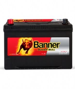 Banner Power Bull P95 05