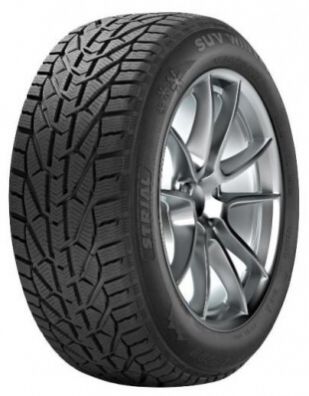 Tigar Winter 205/55 R17 95V 