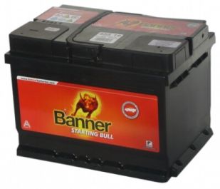 Banner Starting Bull 555 19