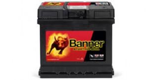 Banner Starting Bull 545 59