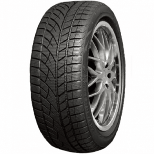 RoadX 205/50 R17 RXFROST WU01 89H