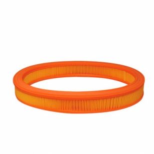FILTRU AER FUJI FH 10802 (AE 250) (SB 561)